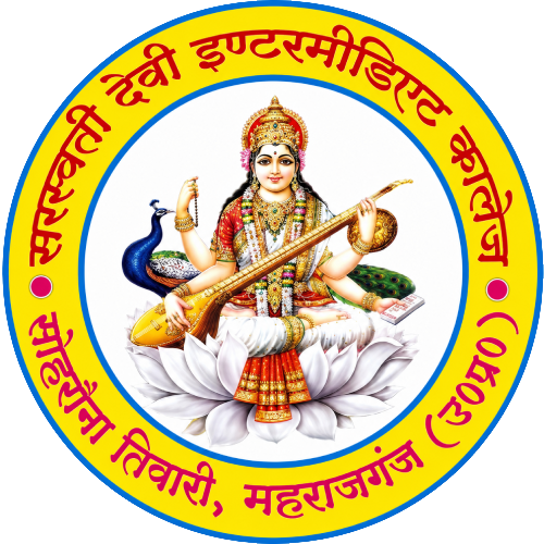 SDIC logo